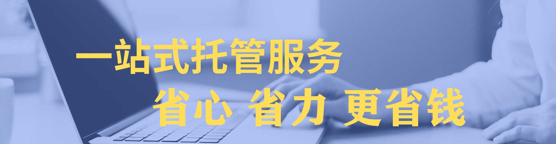 西丰sem投放